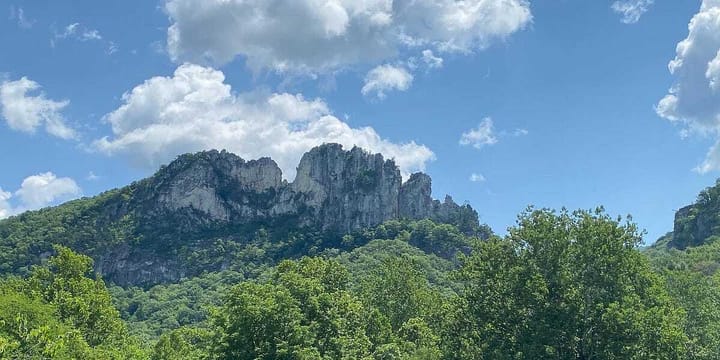 Cup of Coffee: July 18, 2022