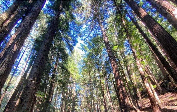 Cup of Coffee: February 10, 2023