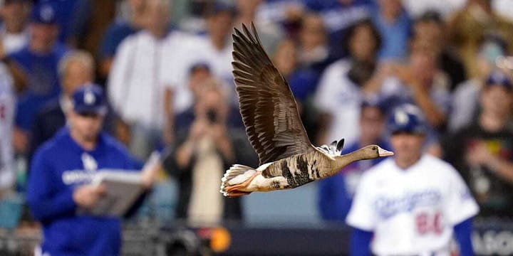 Cup of Coffee: October 13, 2022